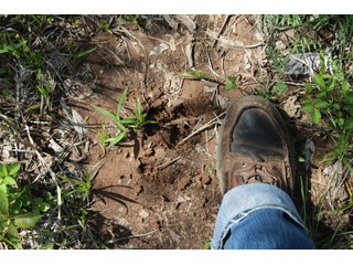 Property photo 63 - LAND AUCTION - 1,371+/- ACRES OFFERED IN 25 TRACTS IN GOLDSBY, OKLAHOMA